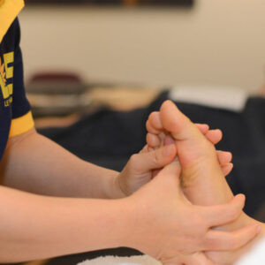 Foot Reflexology Course