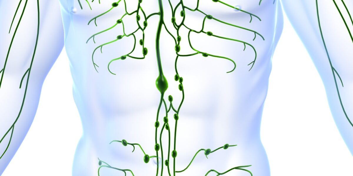 Lymphatic Drainage Massage Course