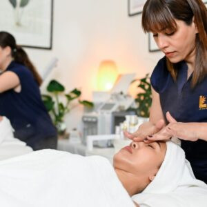 Ice Globe Facial Course + Crystal Stone Facial Course